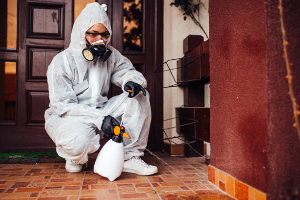 Reliable Wasp Removal contractor in Palatka, FL by Show Me Pest Control